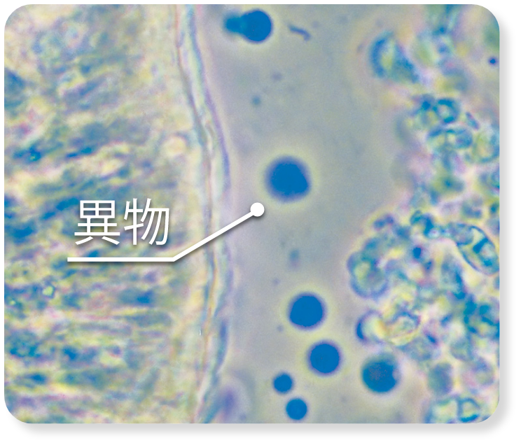 1967年（昭和42年）龍角散企画科学映像