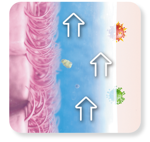 線毛運動の様子