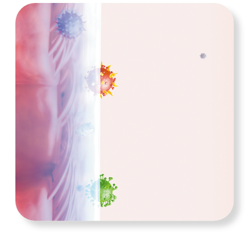 線毛運動の様子