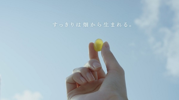 Ryukakusan Herbal Throat Candy "With roots in the nature of Akita"