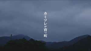 カミツレが育つ町